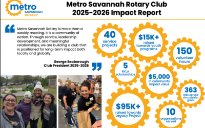 Metro Savannah Rotary Impact
